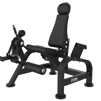 EXTENSORA ARTICULADA