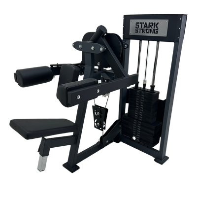 ELEVAÇÃO LATERAL COM CARGA