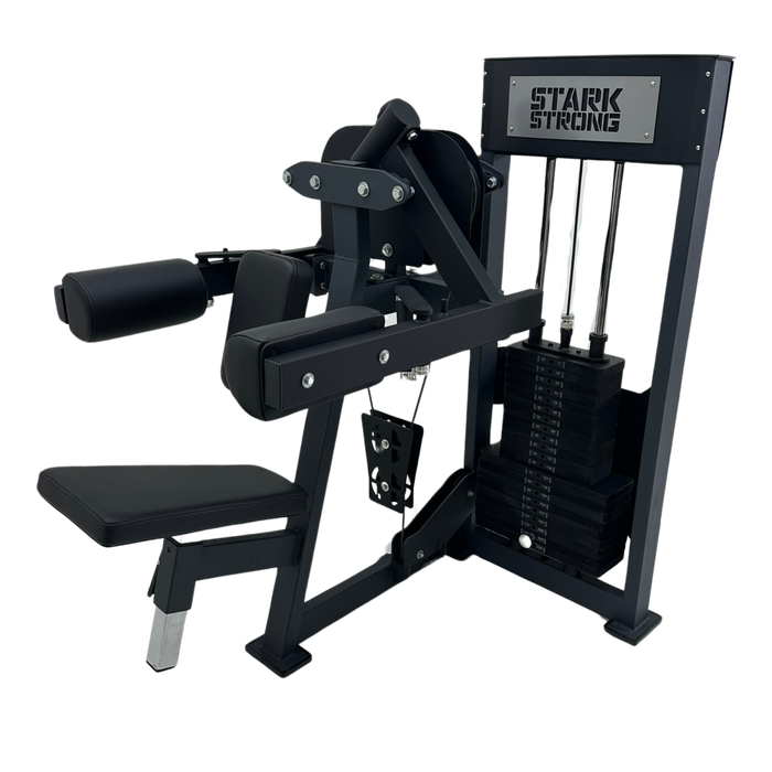 ELEVAÇÃO LATERAL COM CARGA