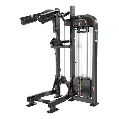 PANTURRILHA EM PÉ COM CARGA 