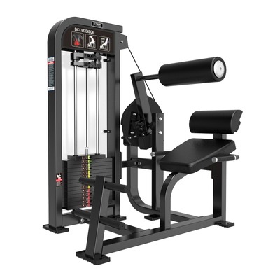 ABDOMINAL / LOMBAR CONJUGADO COM CARGA 